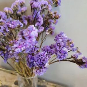 Droogbloemen "Statice licht Paars"